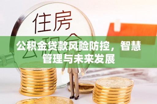 黄大仙公积金贷款风险防控，智慧管理与未来发展