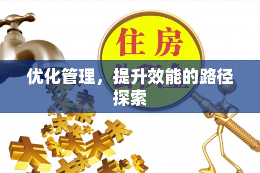 黄大仙优化管理，提升效能的路径探索